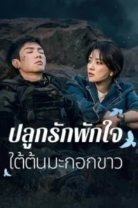 The White Olive Tree (2025) ปลูกรักพักใจ ใต้ต้นมะกอกขาว